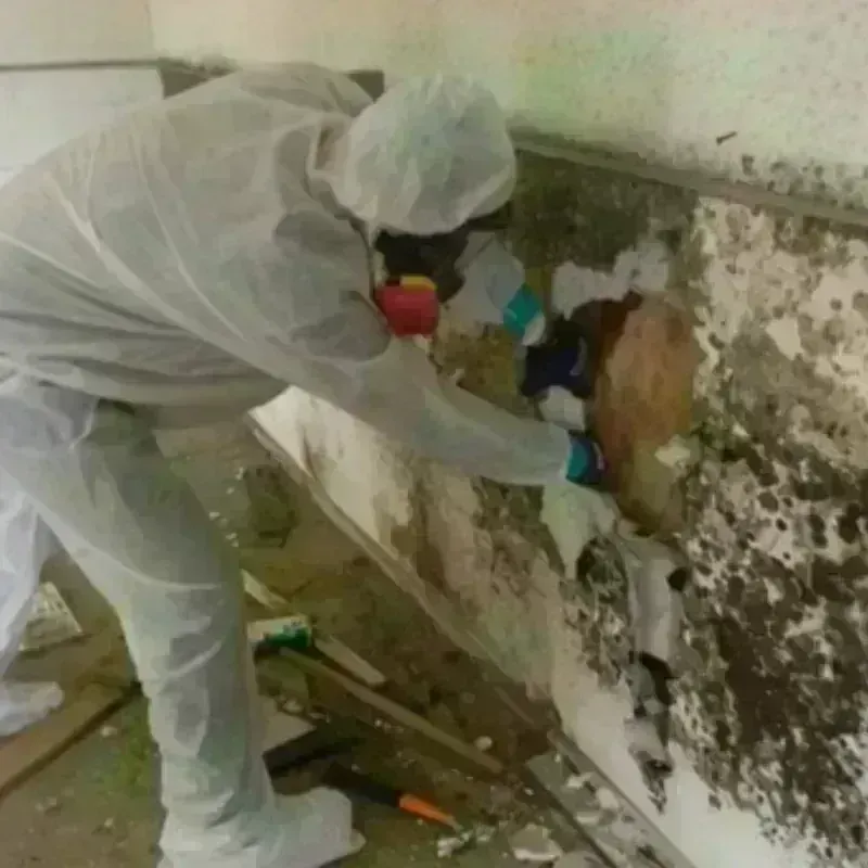 Mold Remediation and Removal in Washington County, NC